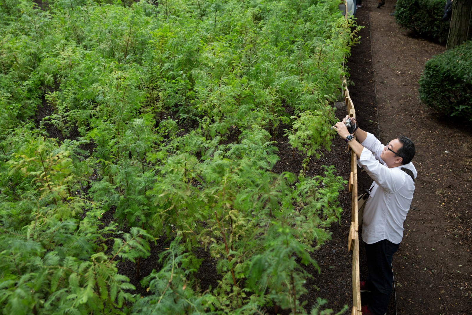 073 Photo Claudio Papapietro.jpg