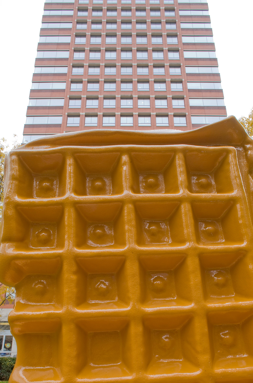 20081107 friedman MG 7974.jpg