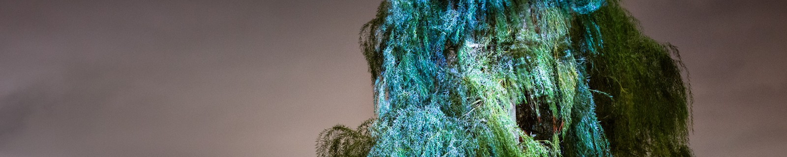 2TOTalk Web Panorama.jpg