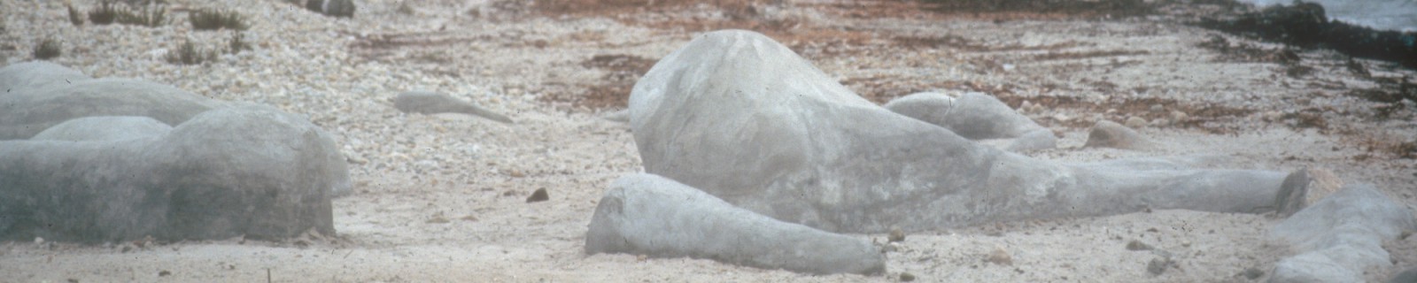 Brickman New Panorama.jpg