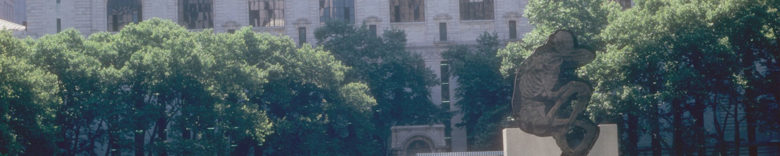 Chin New Panorama.jpg