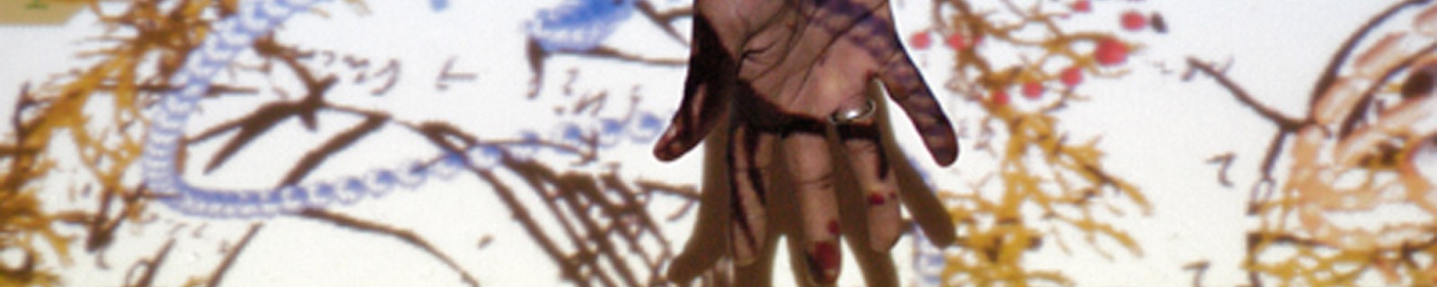 DSC5337 Web Panorama.jpg