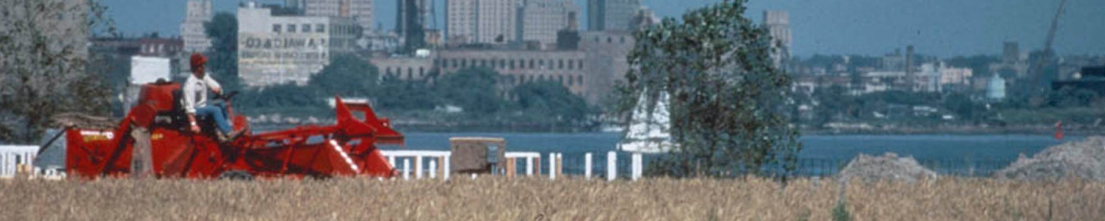 DenesA 0451 Panorama