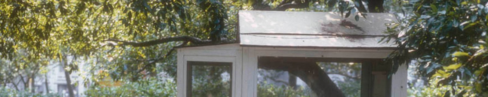 DennisD 0456 Panorama