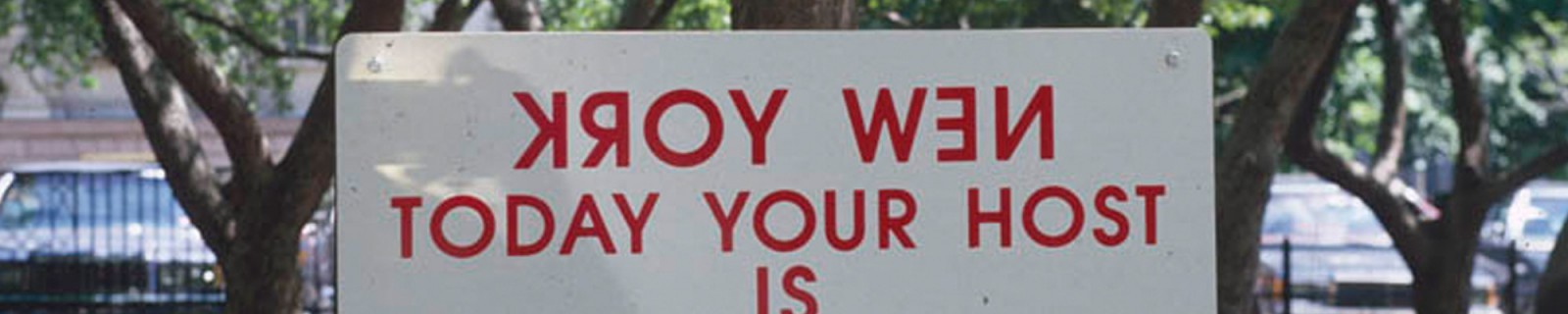 Heap Of BirdsE 0797 Panorama