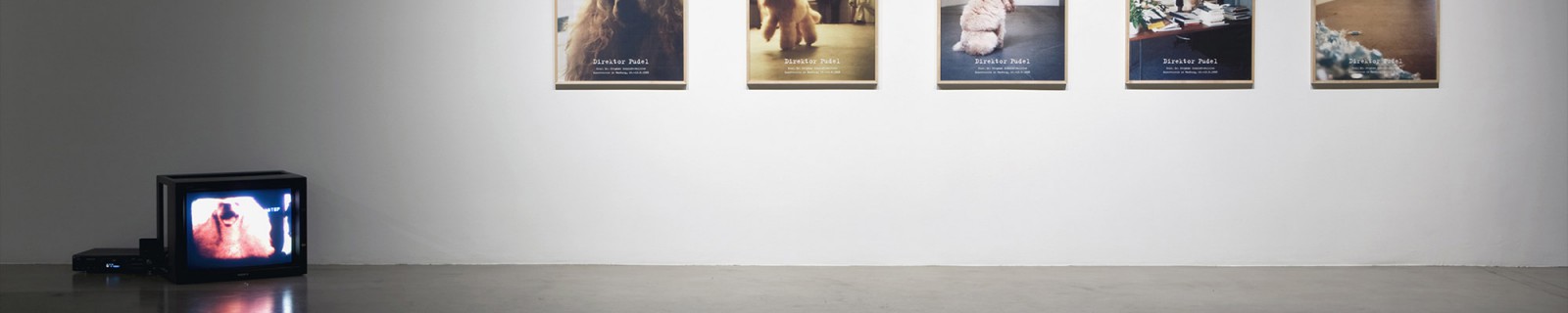 Jankowski Web Panorama.jpg