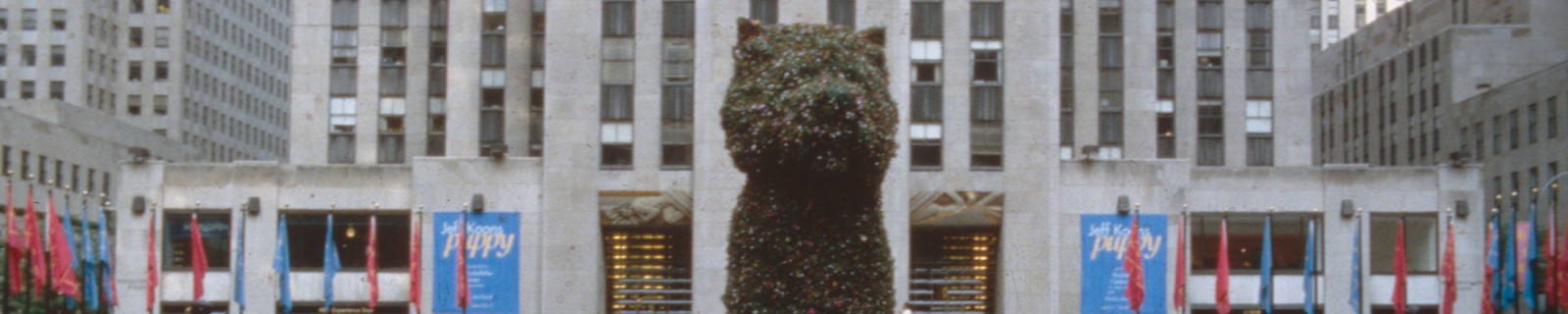 Koons New Panorama.jpg