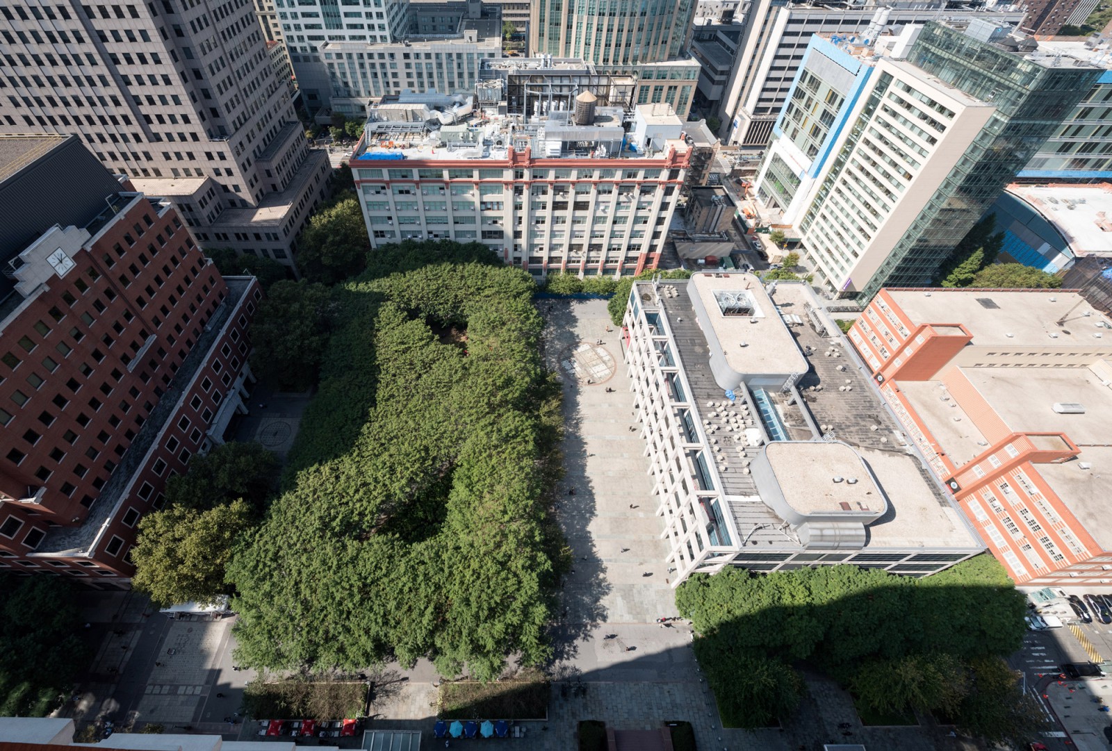 PAF Finch 2016 10 06 DSC 7389 Photo Timothy Schenck.jpg