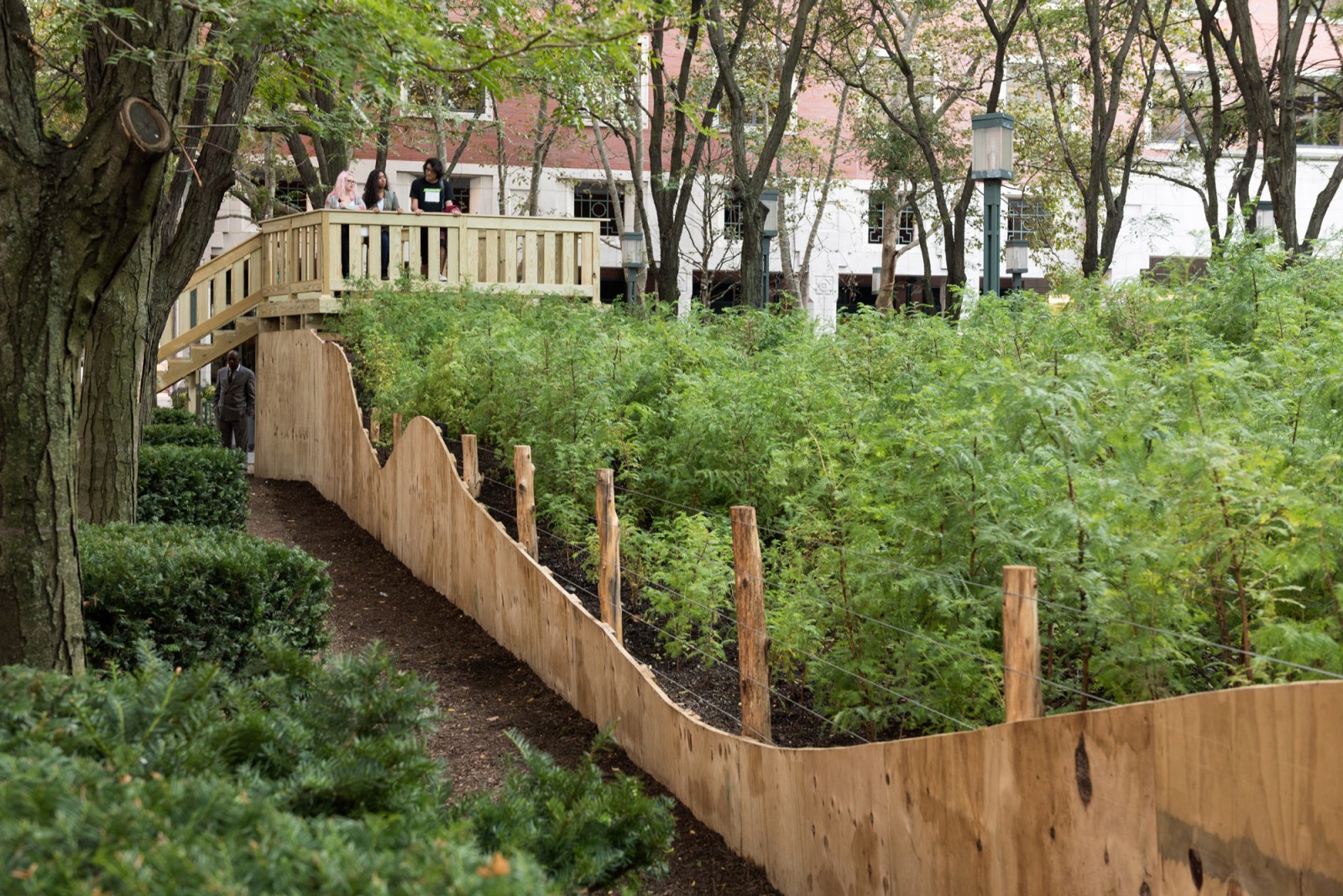 PAF Finch 2016 10 06 DSC 7835 Photo Timothy Schenck.jpg