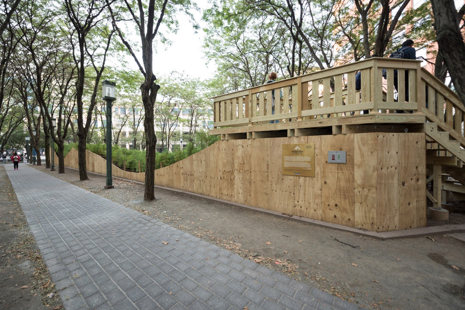 PAF Finch 2016 10 06 DSC 7866 Photo Timothy Schenck.jpg