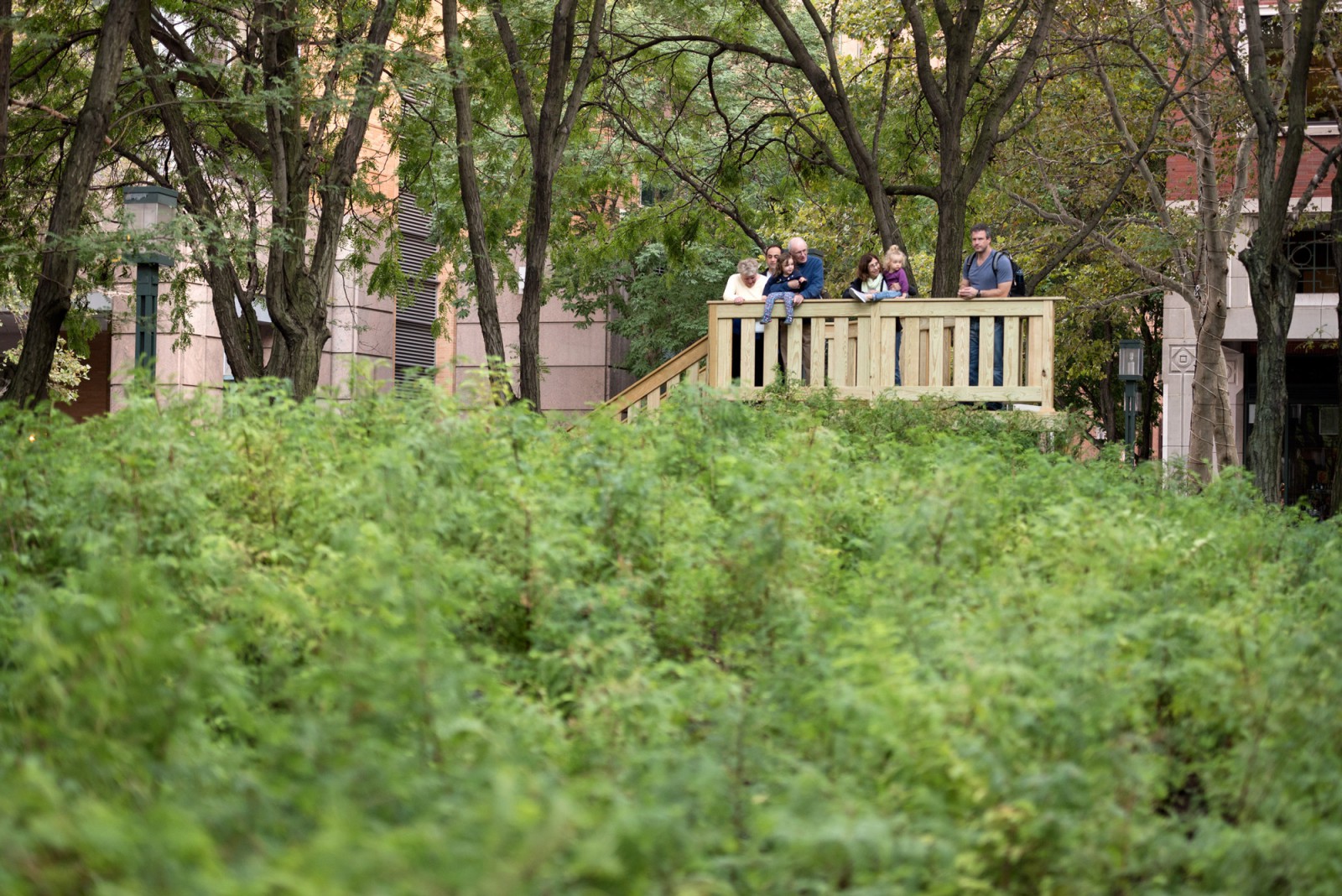 PAF Finch 2016 10 06 DSC 8008 Photo Timothy Schenck.jpg