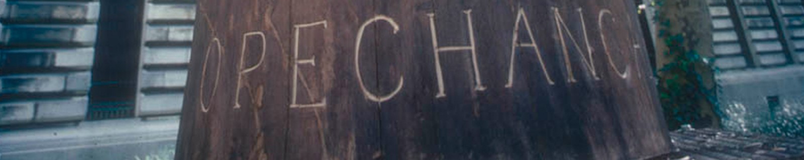 PfaffmanS 1392 Panorama