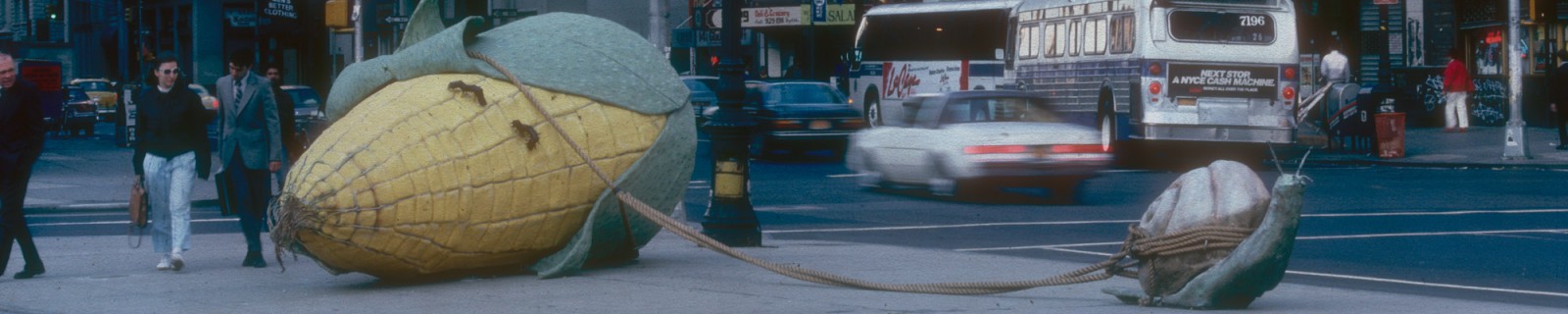 Rupp New Panorama.jpg