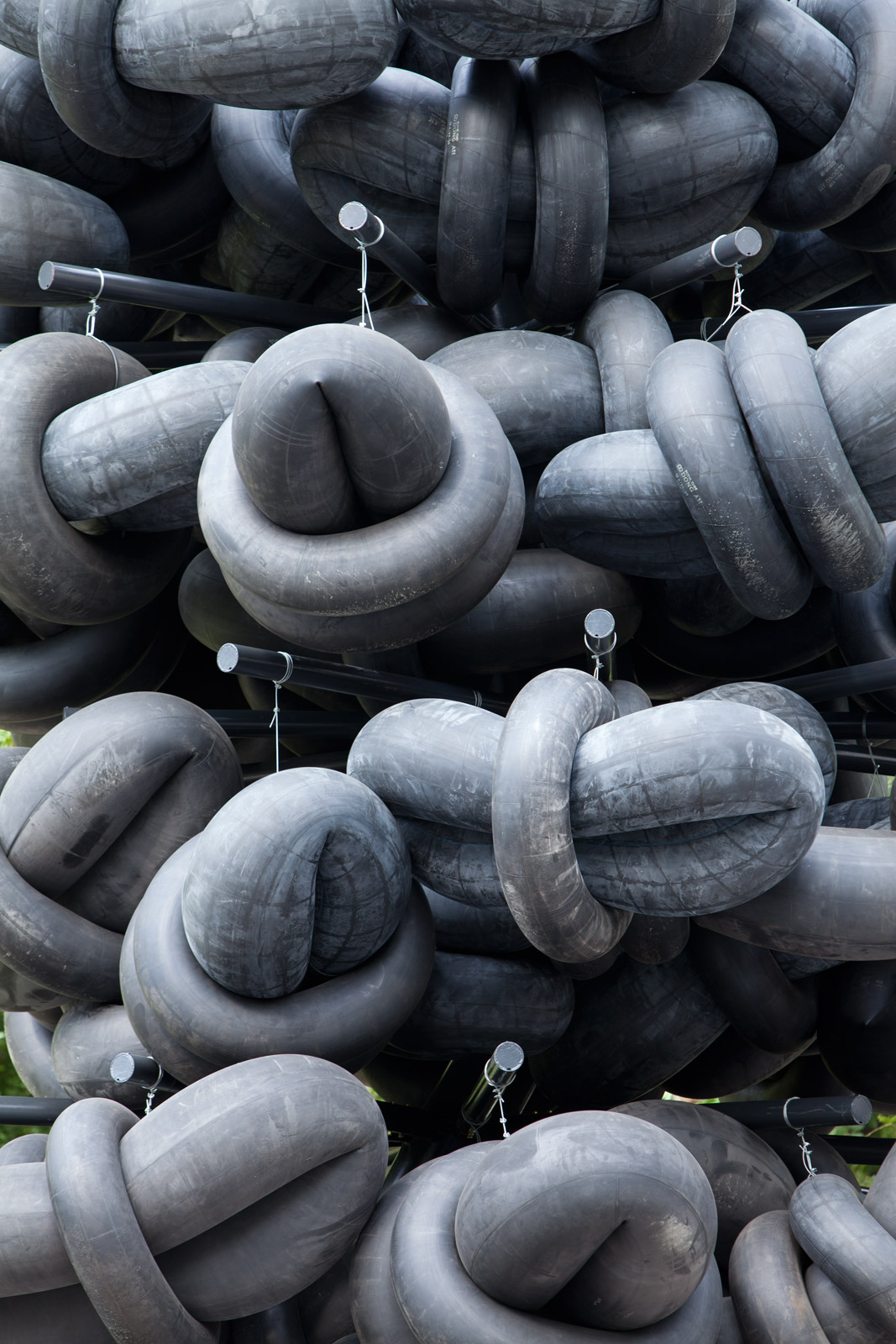 SailstorferM 2334.jpg