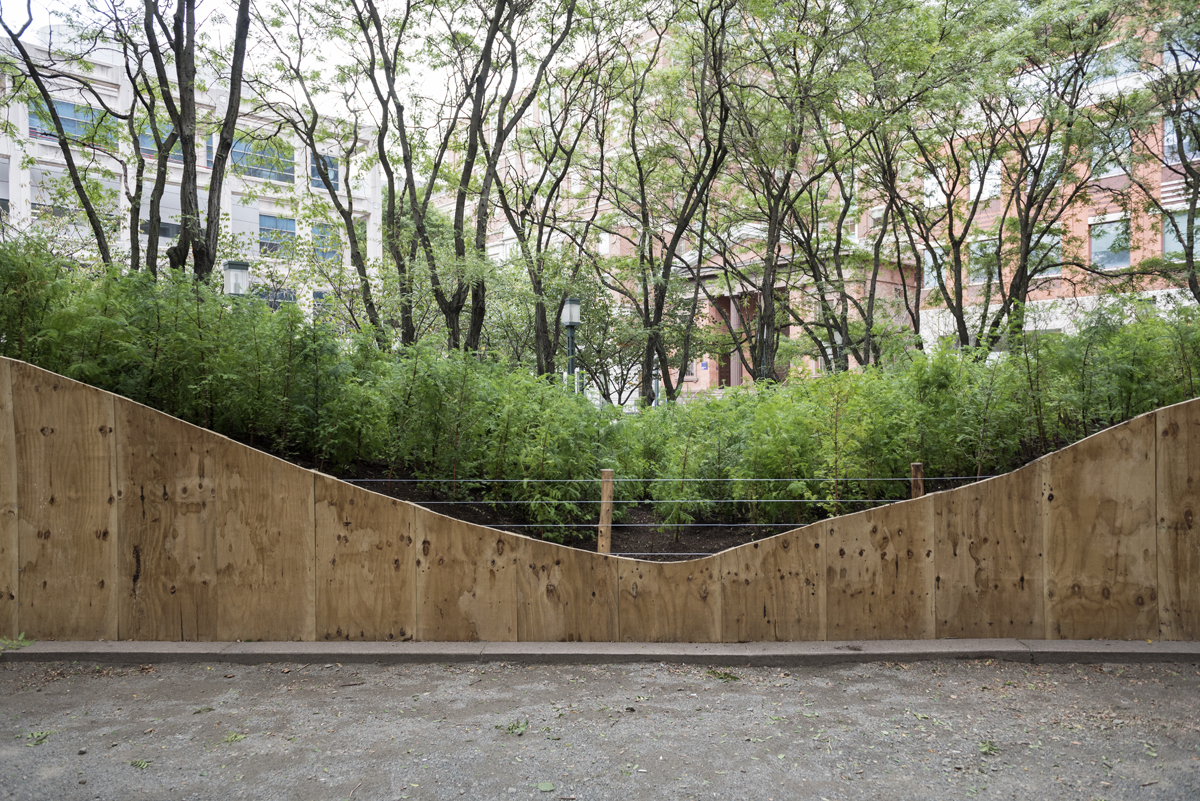 *Schenck PAF Finch 2016 09 29 DSC 6565.jpg