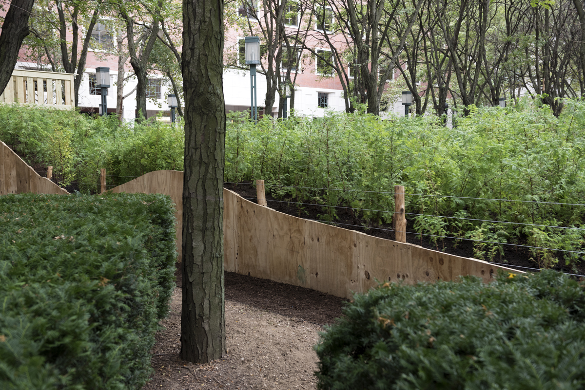 *Schenck PAF Finch 2016 09 29 DSC 6673.jpg