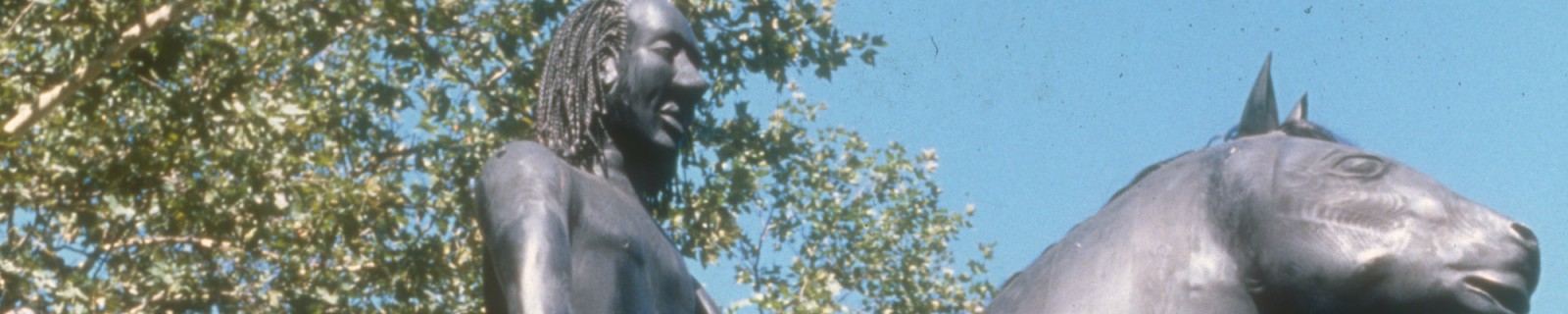 Shea New Panorama.jpg