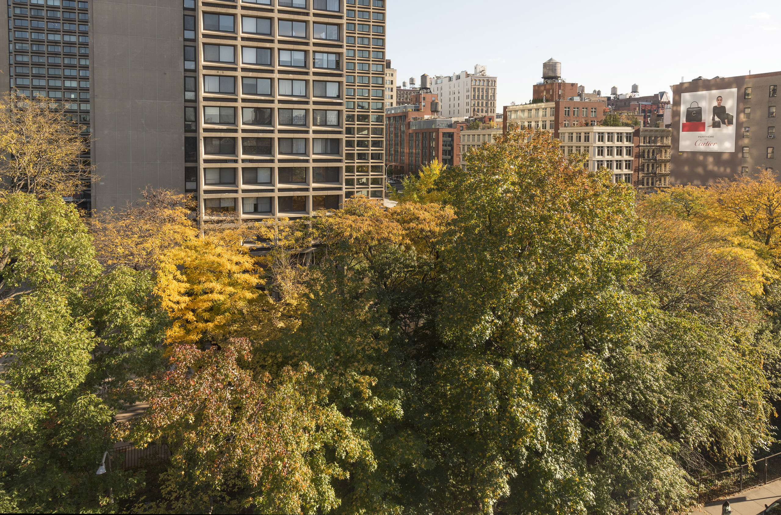 Time Landscape by Alan Sonfist (1965-Present) restores a pre-colonial forest in the heart of New York City