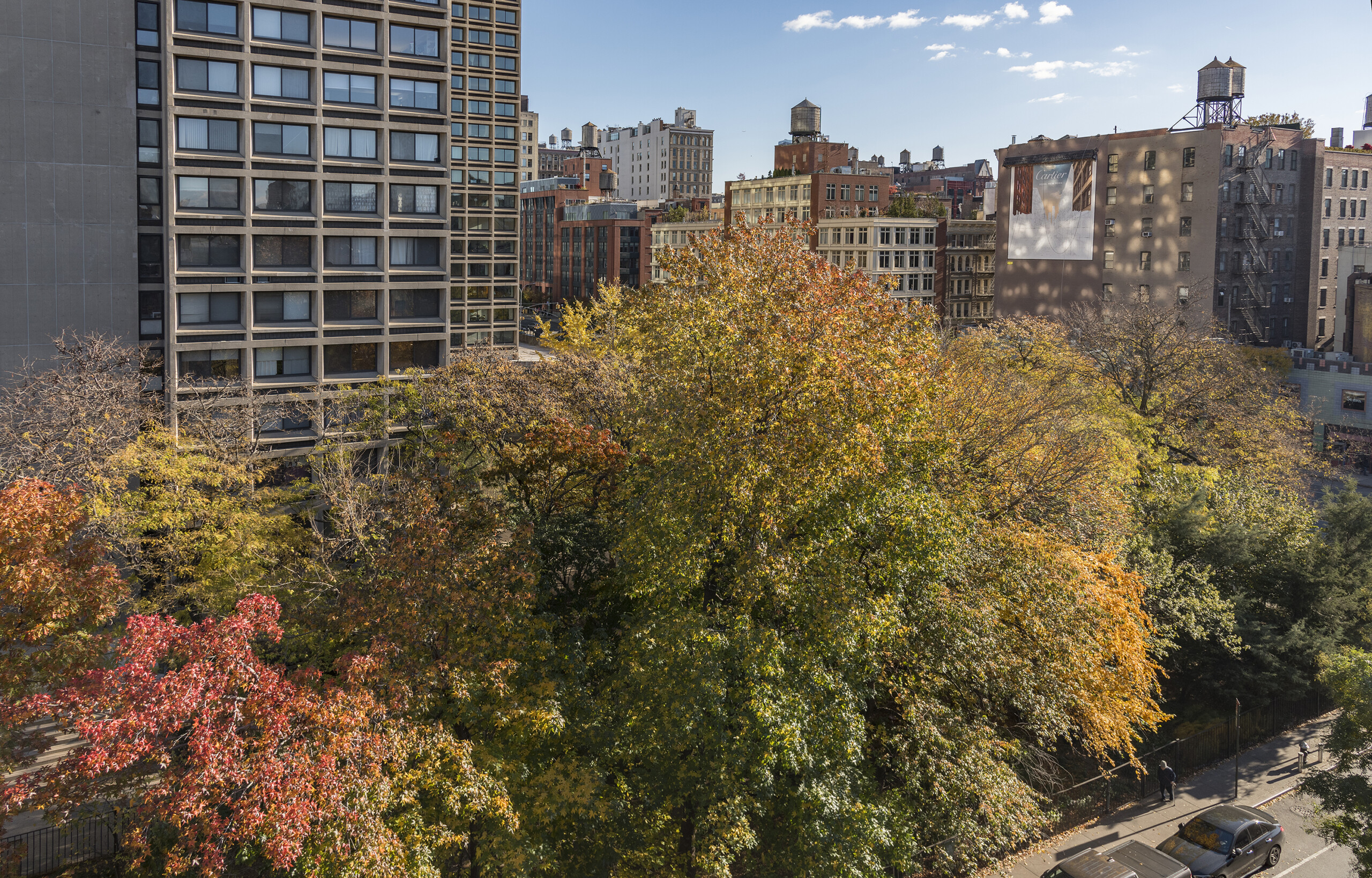 Time Landscape by Alan Sonfist (1965-Present) restores a pre-colonial forest in the heart of New York City