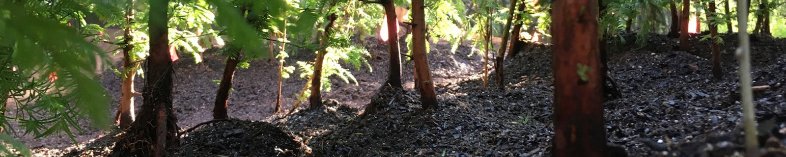 SpencerFinch Placeholder3 Web Panorama.jpg