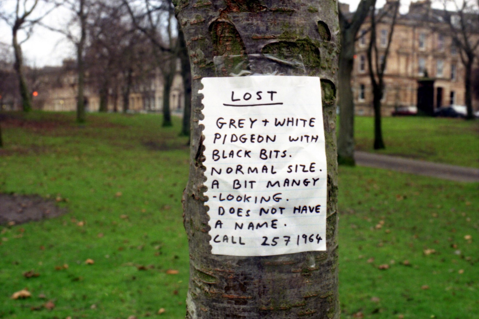 Talks David Shrigley.jpg