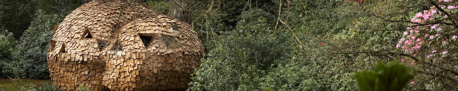 Talks Morrison Web Panorama.jpg