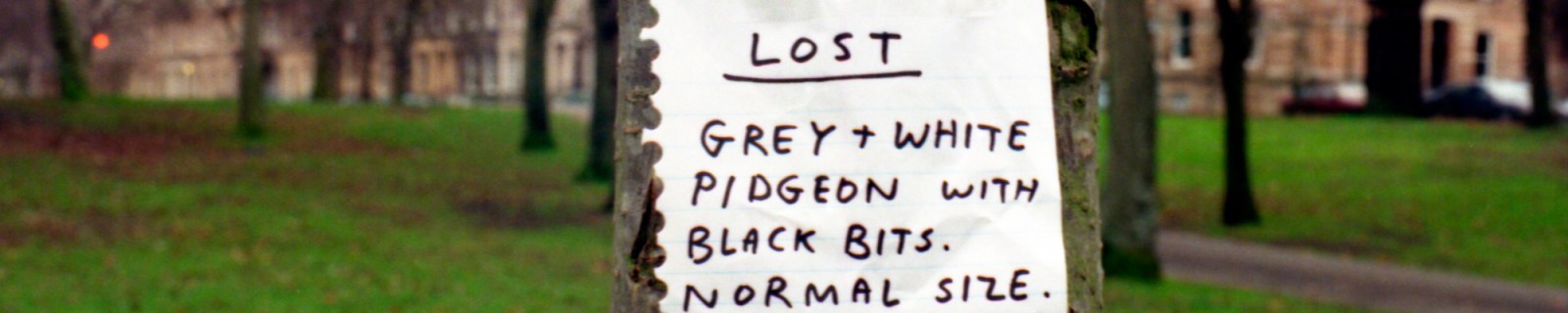 Talks ShrigleyD Web Panorama.jpg