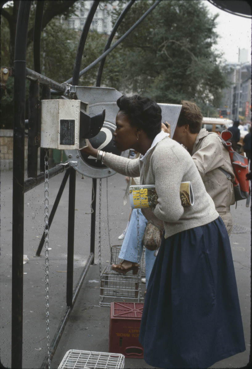 TaplinWolff 1761.jpg