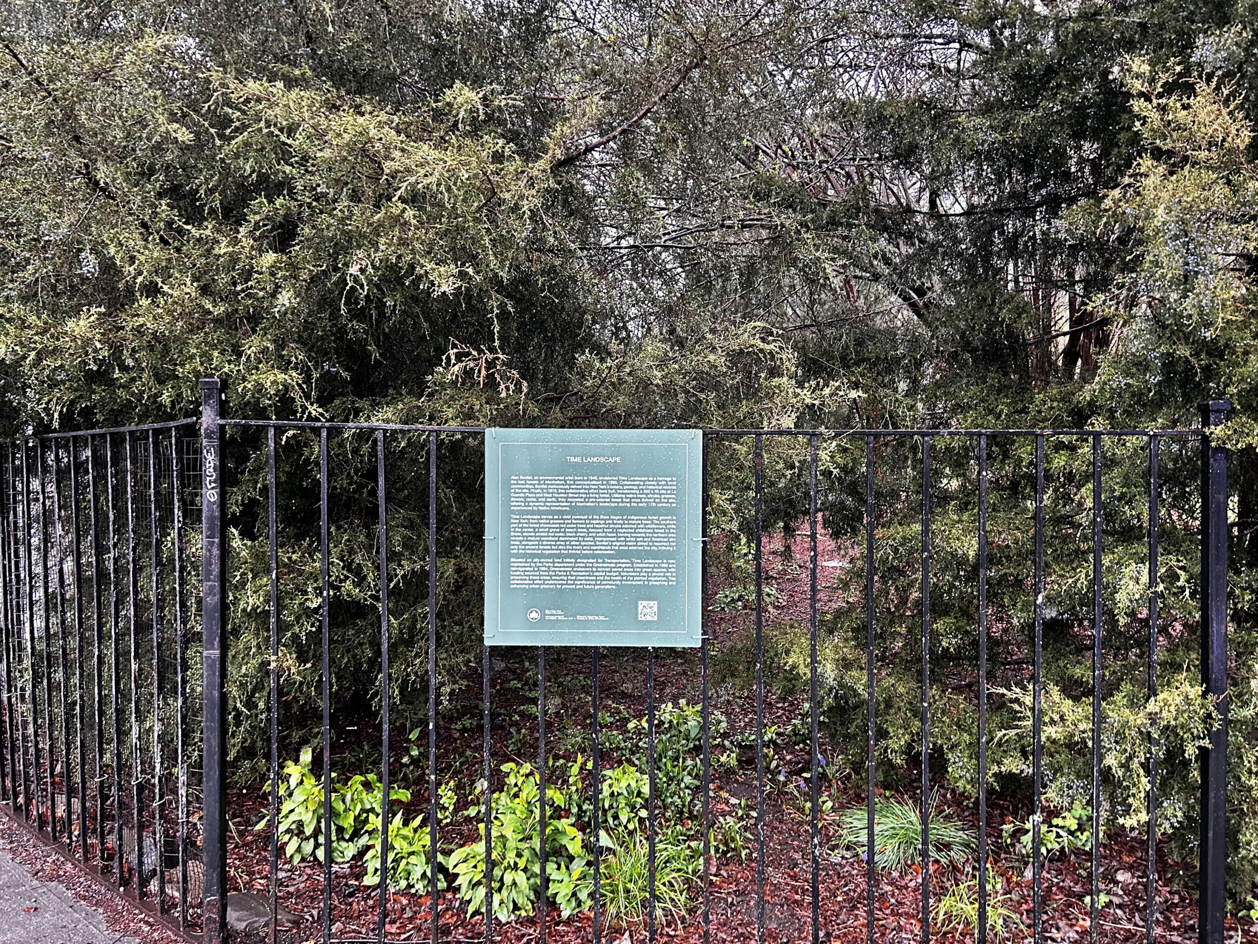 Time Landscape by Alan Sonfist (1965-Present) restores a pre-colonial forest in the heart of New York City