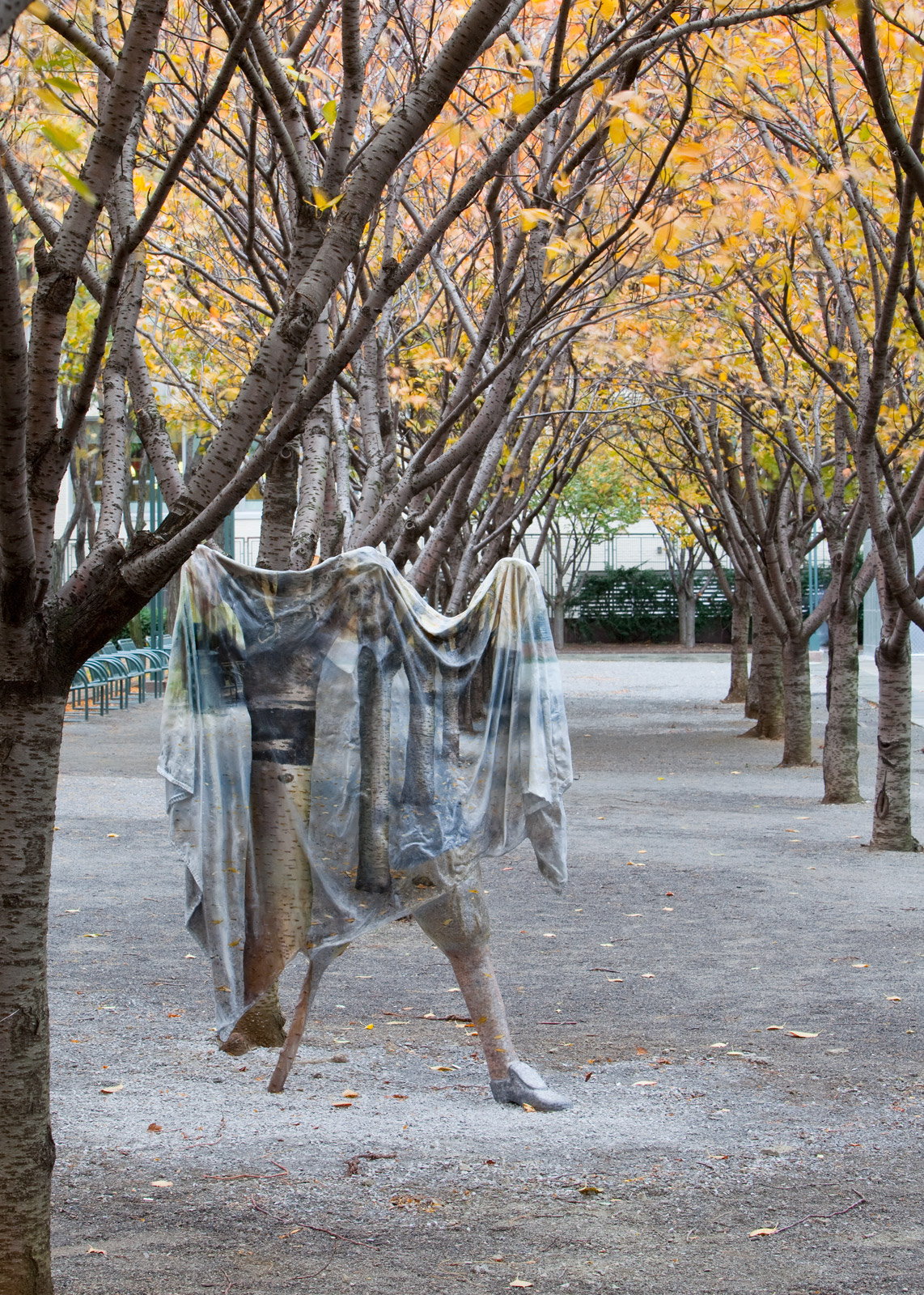 VanDerBeekJ 2367.jpg