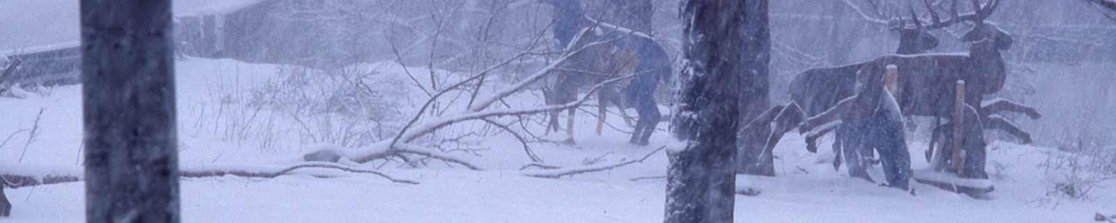 WellsD HuntingCaza Web Panorama.jpg