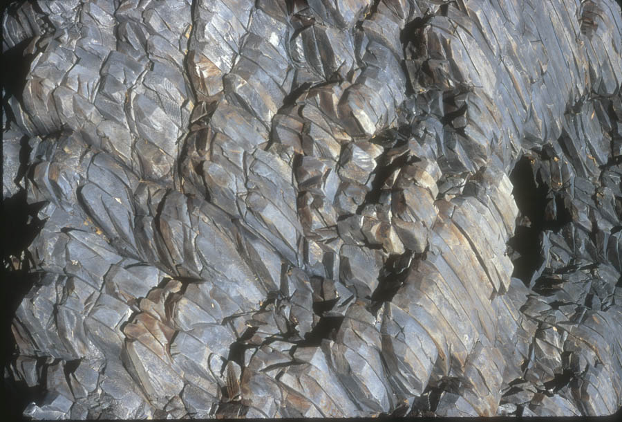 vonRydingsvardU 1849