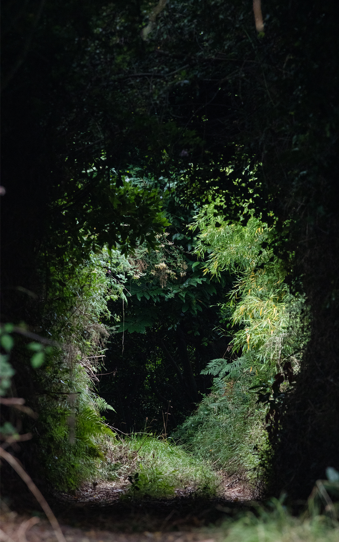 25 Oto Gillen, „Weg“, 22. Juli 2019