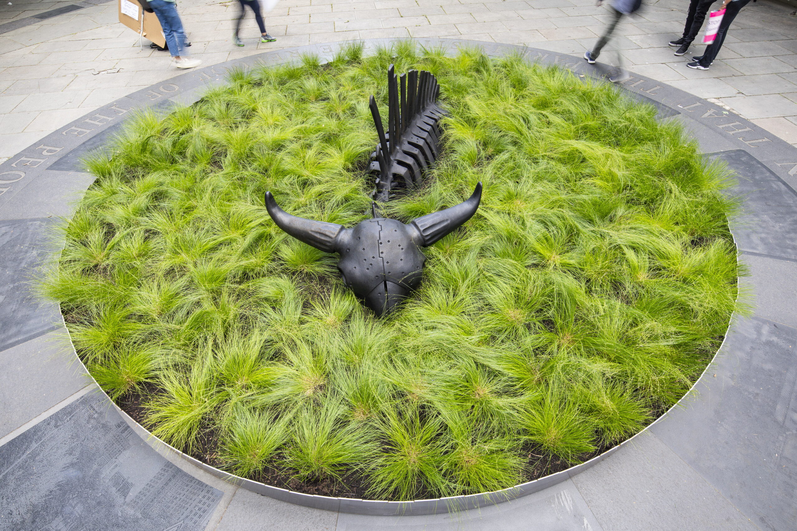 A 10-foot-long black steel sculpture of a bison skeleton sits within a shallow circular bed of green grass in a public park in New York City.