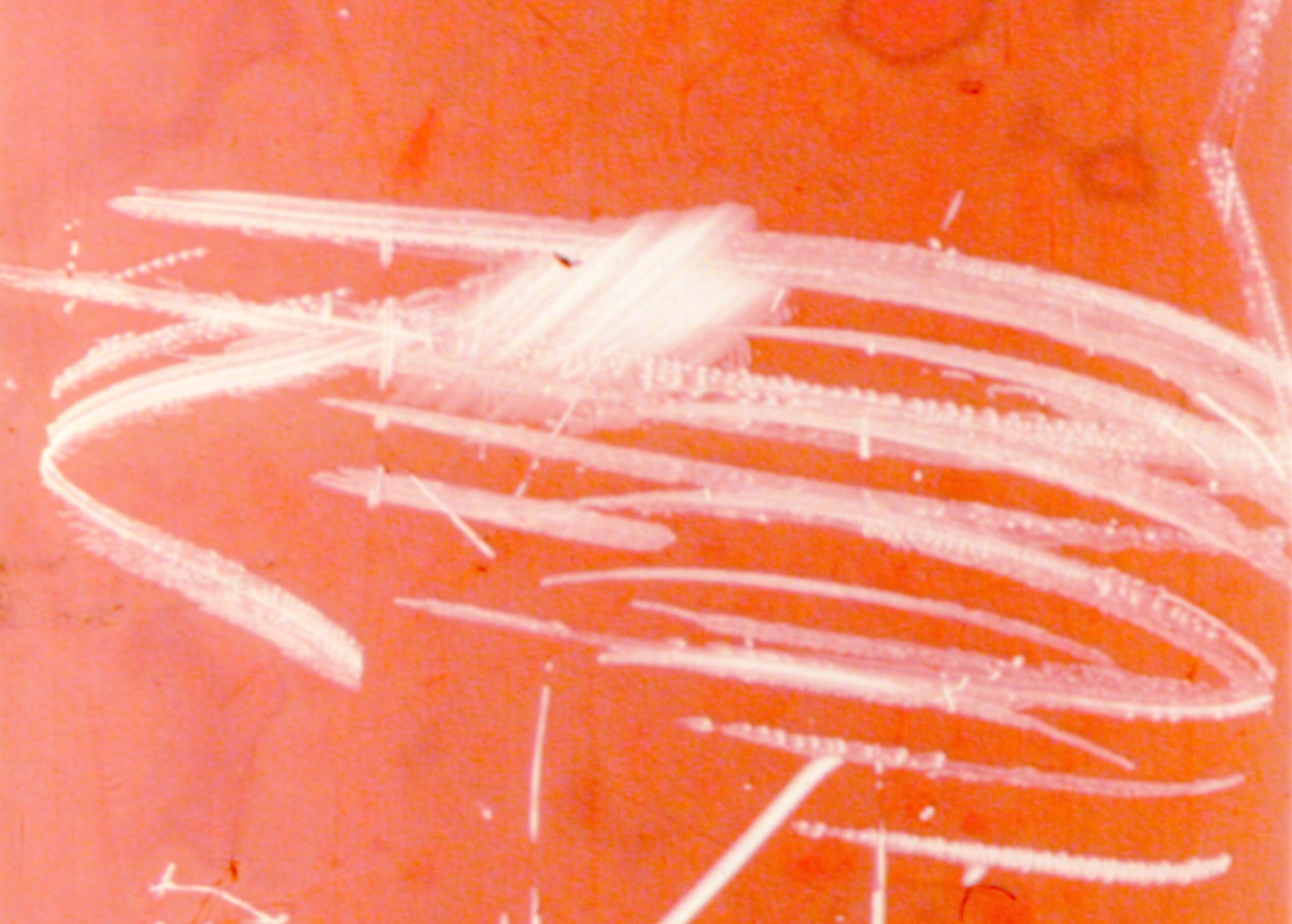 02_What the water said