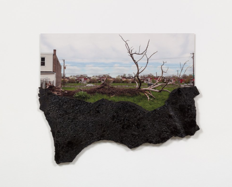 oliviernorthphillyshadow (2)