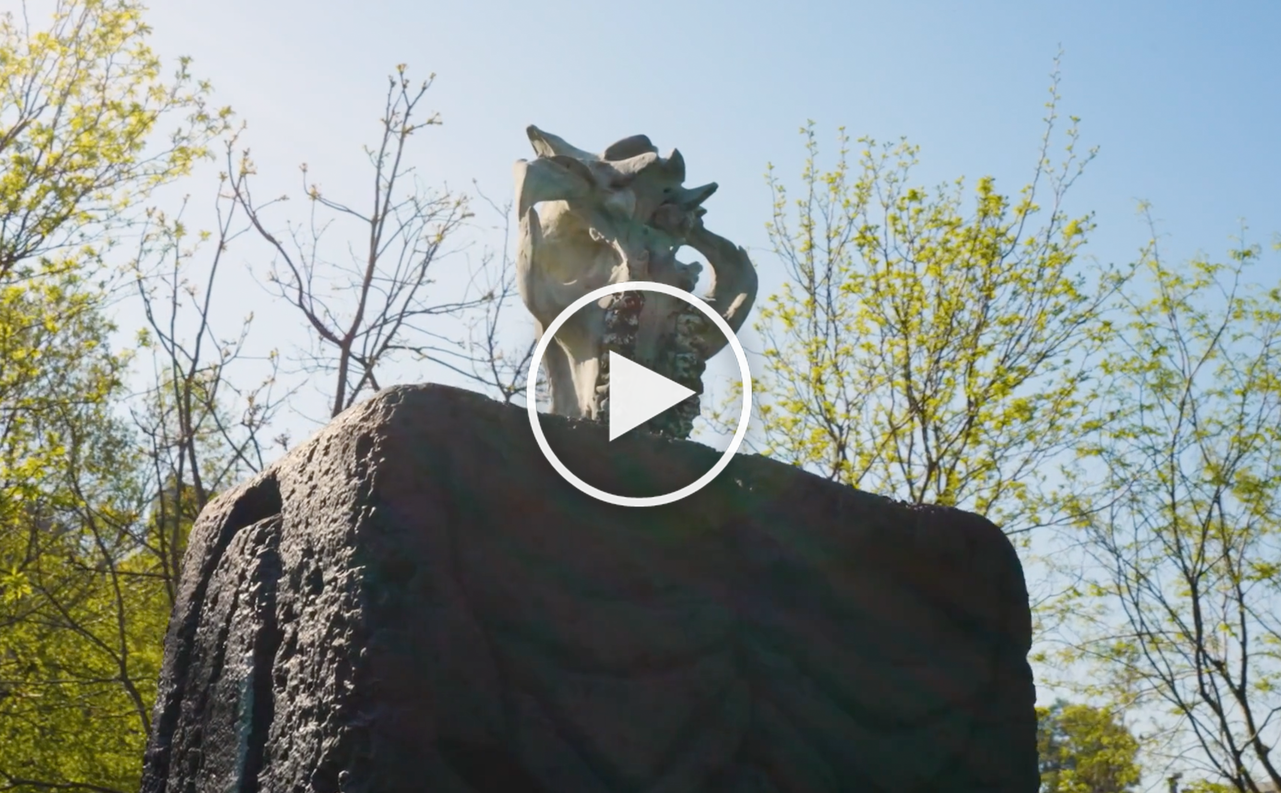 huma_playback thumbnail_2