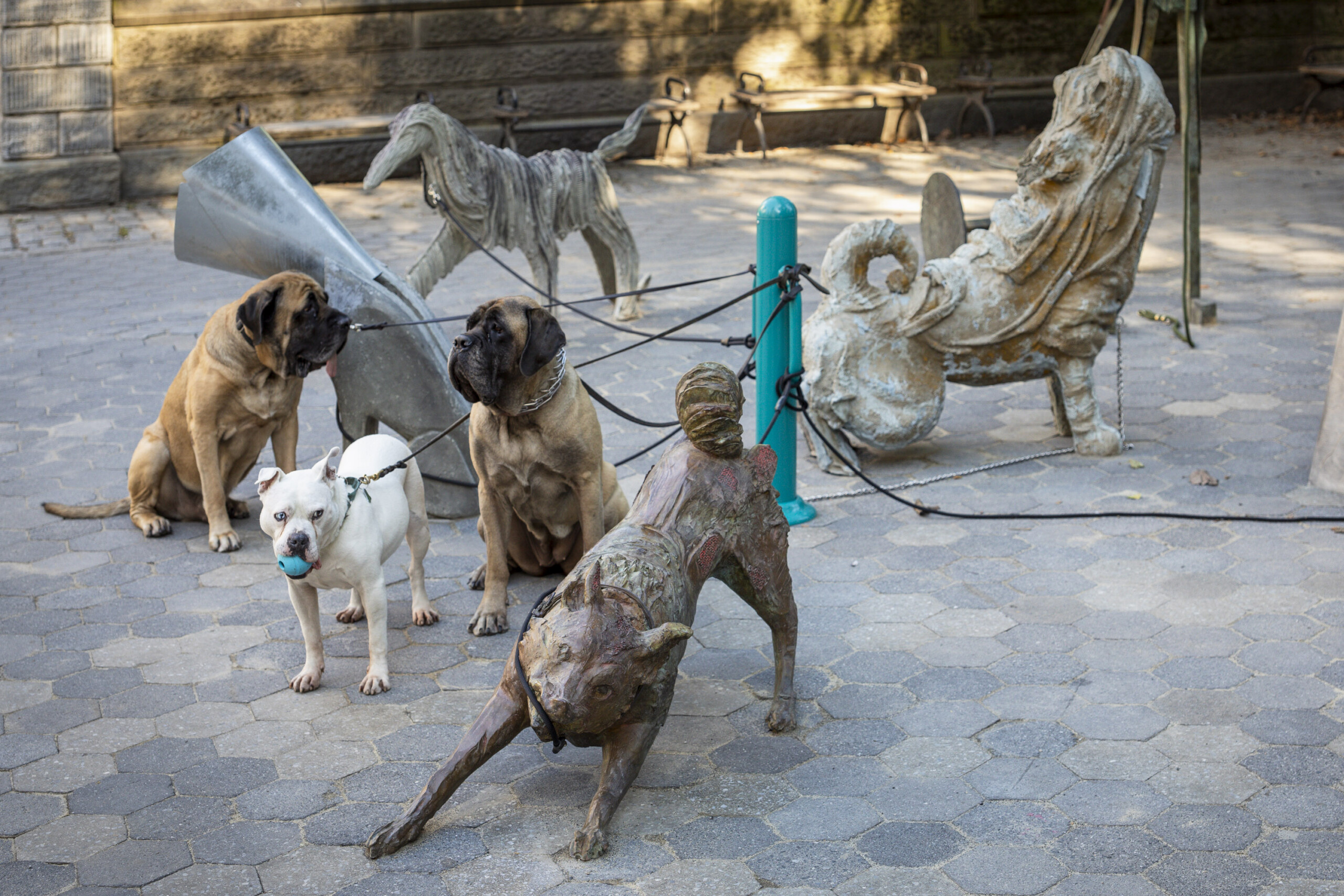 a group of dog sculptures on a plaza